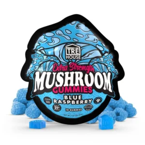 Watermelon Wonder Extra-Strength Mushroom Gummies